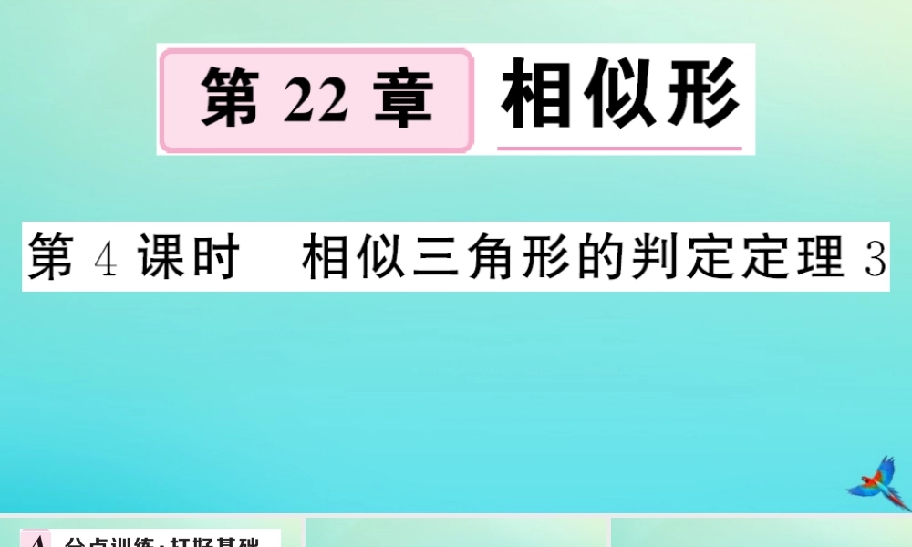 九年级数学上册 第22章 相似形 222 相似三角形的判定 第4课时 相似三角形的判定定理3作业课件 (新版)沪科版 课件