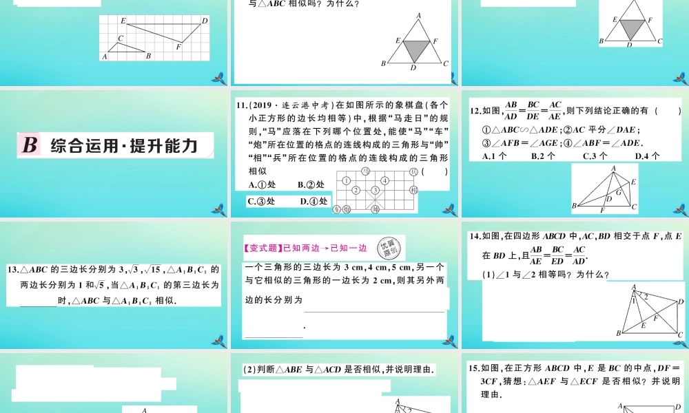 九年级数学上册 第22章 相似形 222 相似三角形的判定 第4课时 相似三角形的判定定理3作业课件 (新版)沪科版 课件