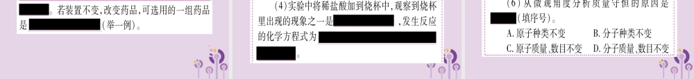 中考化学复习 第一部分 基础知识 第二单元 化学基本概念和原理 第13讲 质量守恒定律(精讲)课件