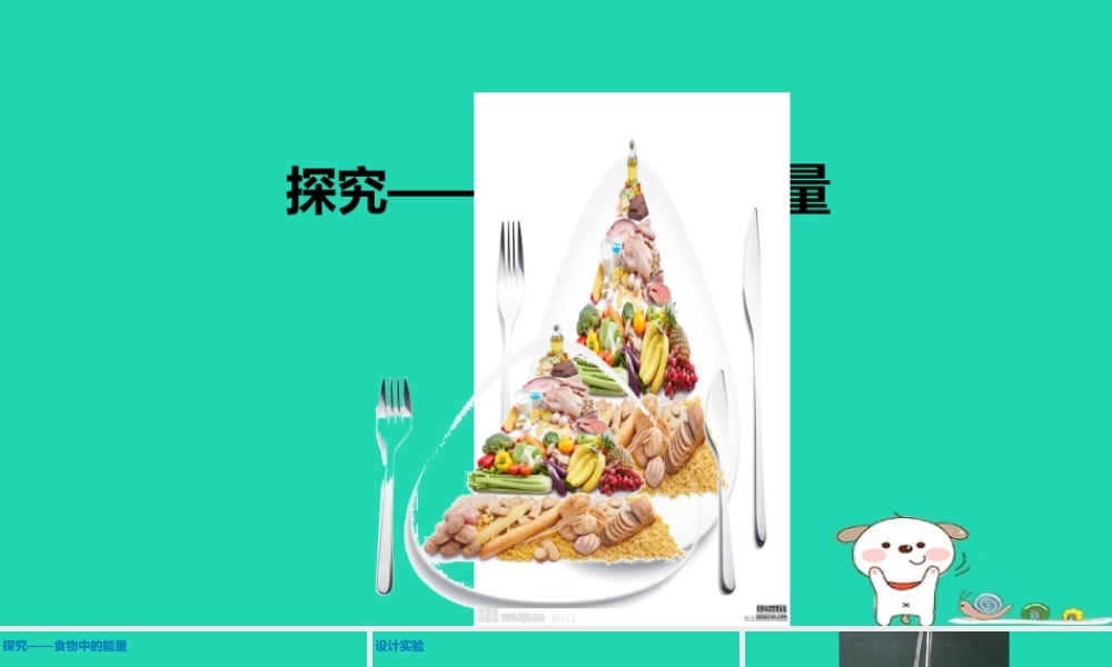 七年级生物下册 4.2.1(食物中的营养物质)探究食物中的能量(实验)课件 (新版)新人教版 课件