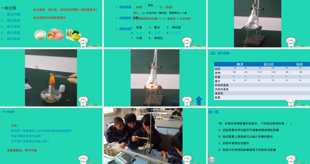 七年级生物下册 4.2.1(食物中的营养物质)探究食物中的能量(实验)课件 (新版)新人教版 课件