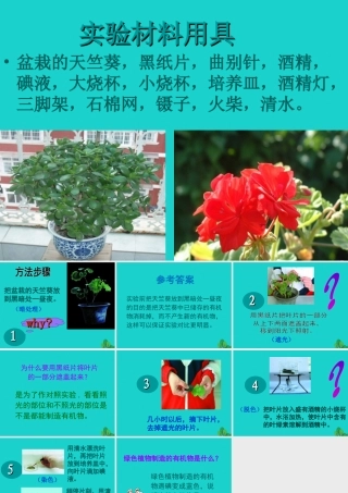 八年级生物上册 第三单元 第三章 第一节 光合作用的产物 实验思考讨论课件 冀少版 课件