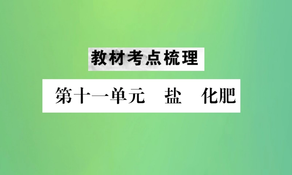 中考化学总复习 教材考点梳理 第十一单元 盐 化肥课件