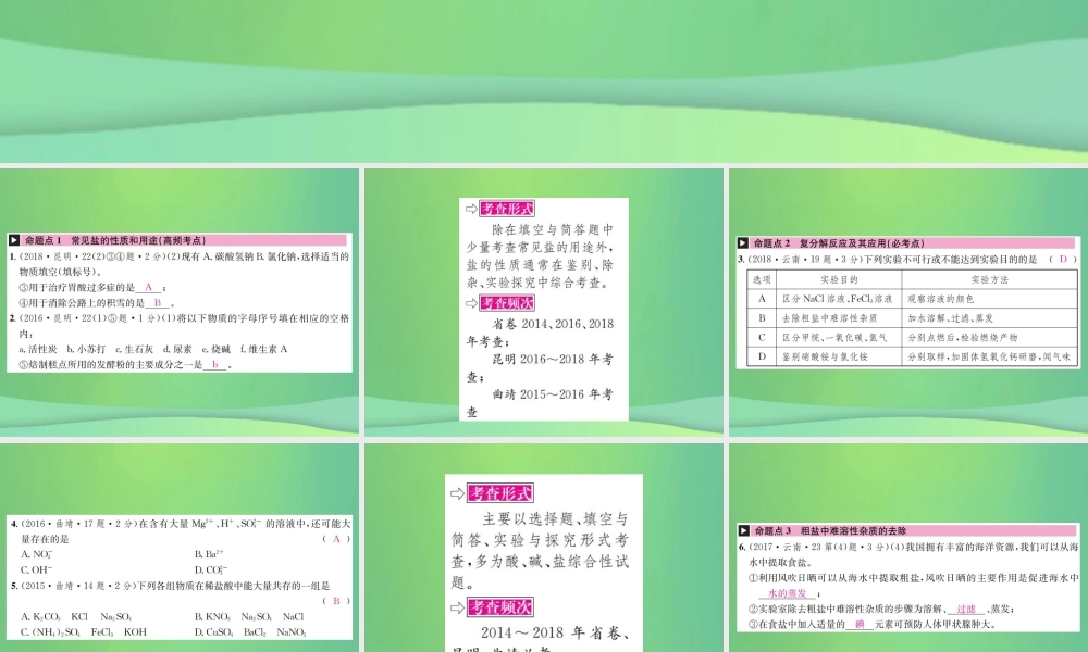 中考化学总复习 教材考点梳理 第十一单元 盐 化肥课件