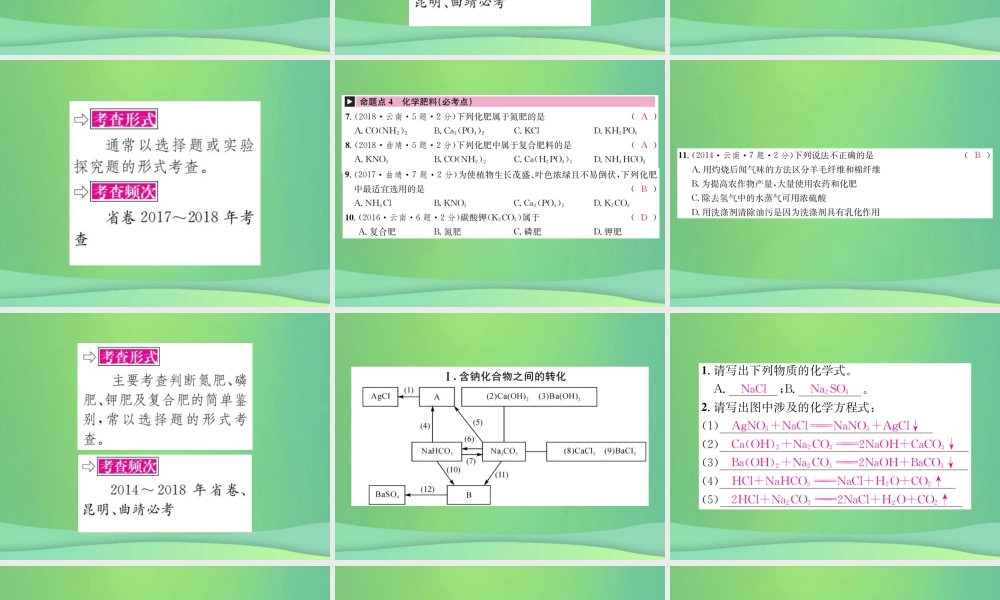 中考化学总复习 教材考点梳理 第十一单元 盐 化肥课件