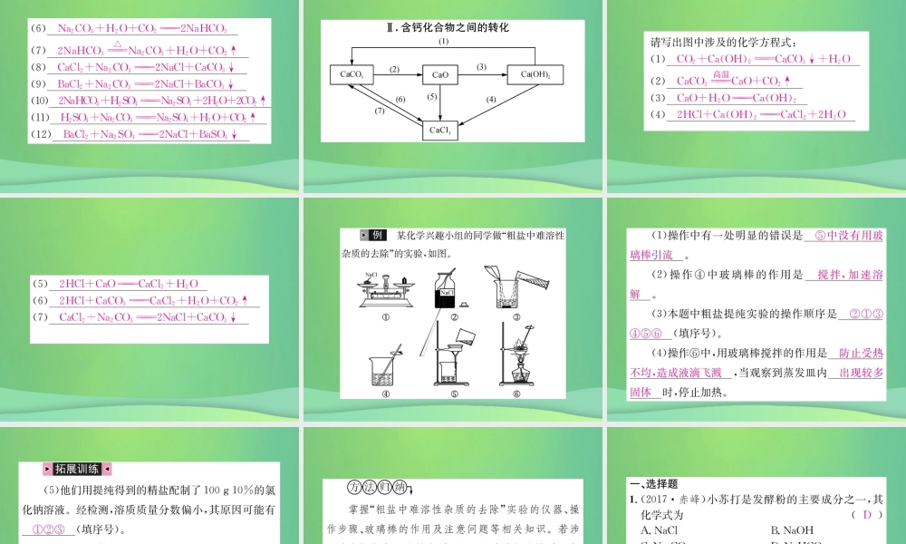 中考化学总复习 教材考点梳理 第十一单元 盐 化肥课件