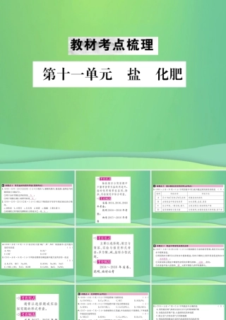 中考化学总复习 教材考点梳理 第十一单元 盐 化肥课件
