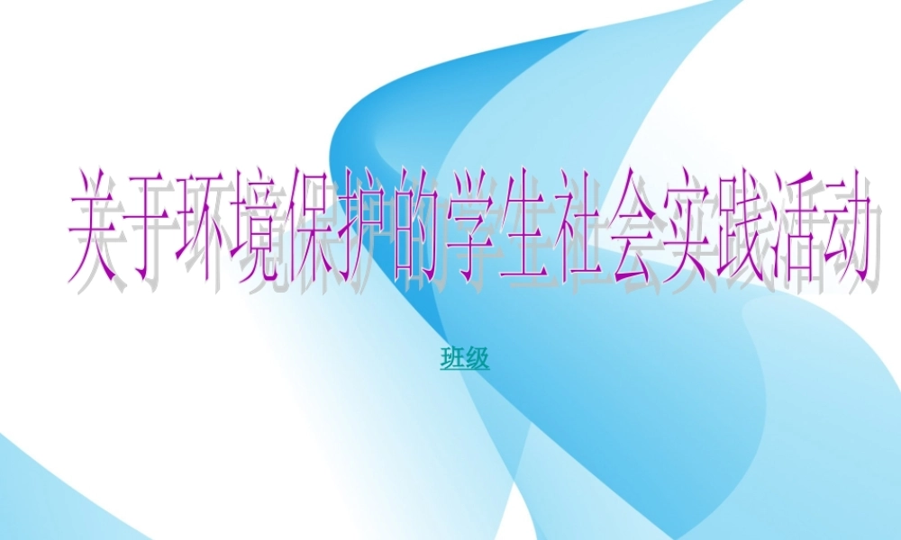 社会实践活动模版