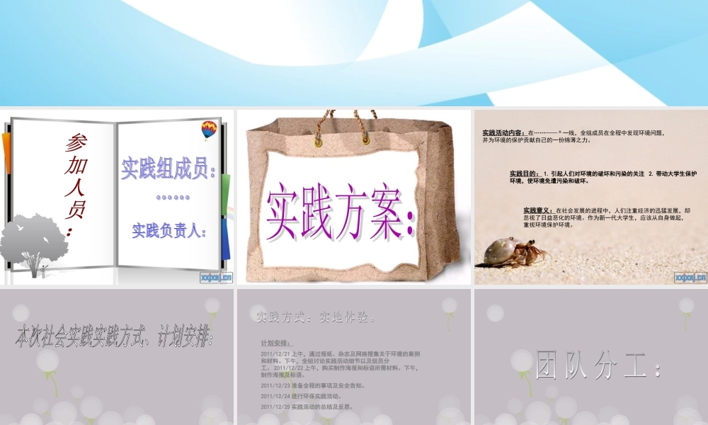 社会实践活动模版
