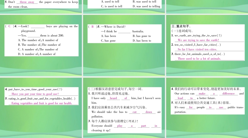 九年级英语全册 Unit 13 We re trying to save the earth基础知识梳理课件 (新版)人教新目标版 课件