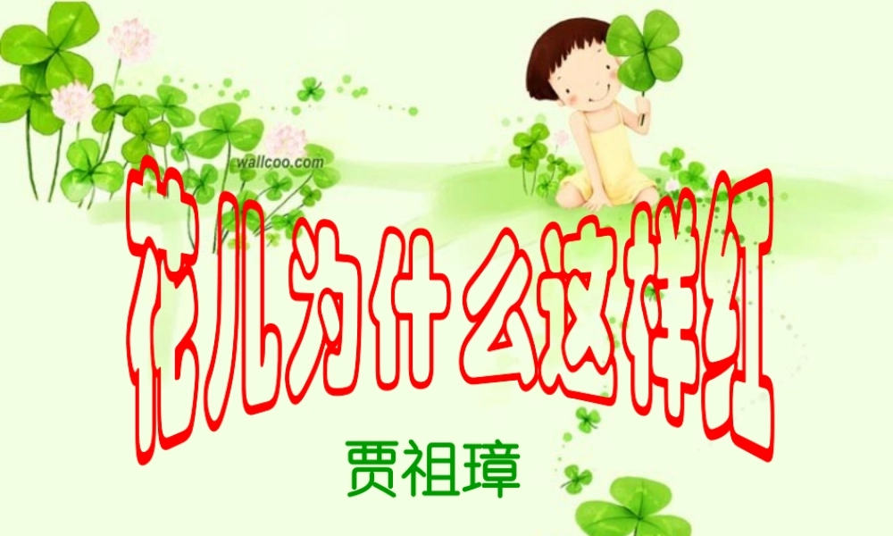 花儿为什么这样红 (3)