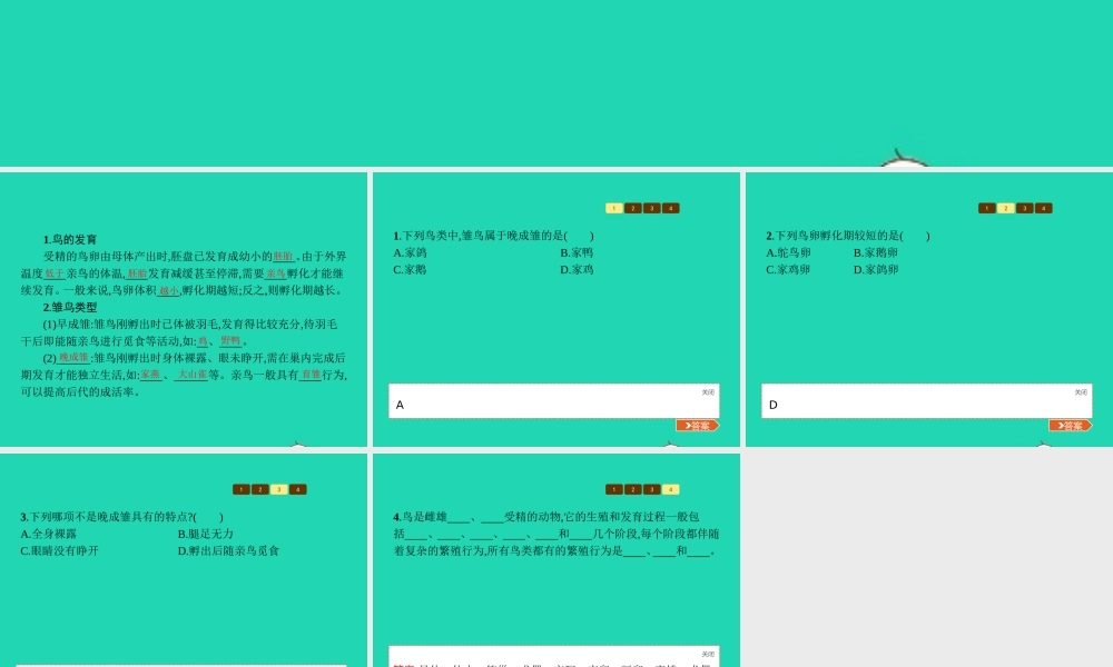 八年级生物上册 第四单元 第二章 第三节 鸟的生殖和发育(第2课时 鸟的发育)课件 (新版)济南版 课件