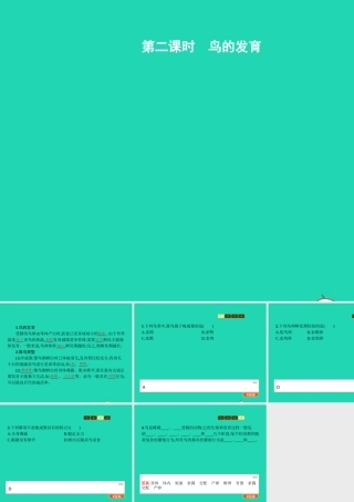 八年级生物上册 第四单元 第二章 第三节 鸟的生殖和发育(第2课时 鸟的发育)课件 (新版)济南版 课件