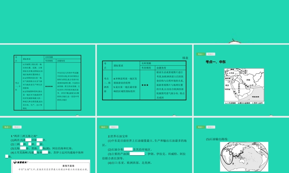 中考地理 第一编 基础篇 第二部分 世界地理下第9课时 中东 欧洲西部课件