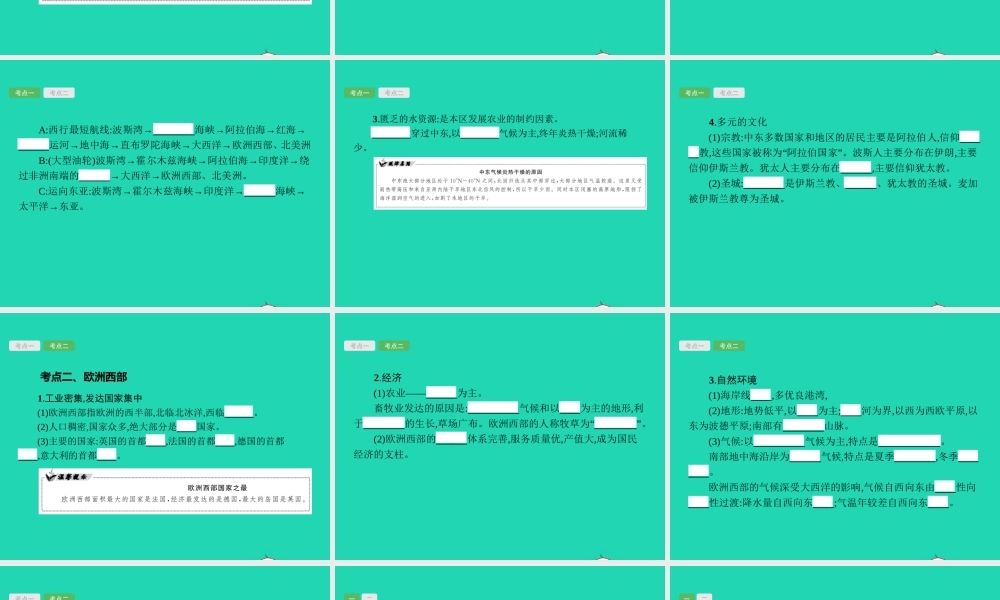 中考地理 第一编 基础篇 第二部分 世界地理下第9课时 中东 欧洲西部课件