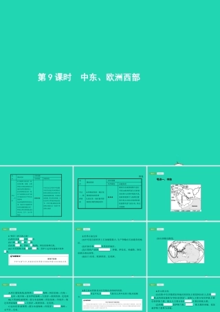 中考地理 第一编 基础篇 第二部分 世界地理下第9课时 中东 欧洲西部课件