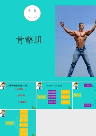 八年级生物上册 第6单元 第17章 第1节 人体的运动 骨骼肌课件 (新版)苏科版 课件