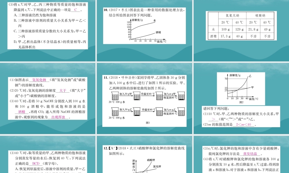 中考化学复习 滚动小专题(一)溶解度和溶解度曲线课件 鲁教版 课件