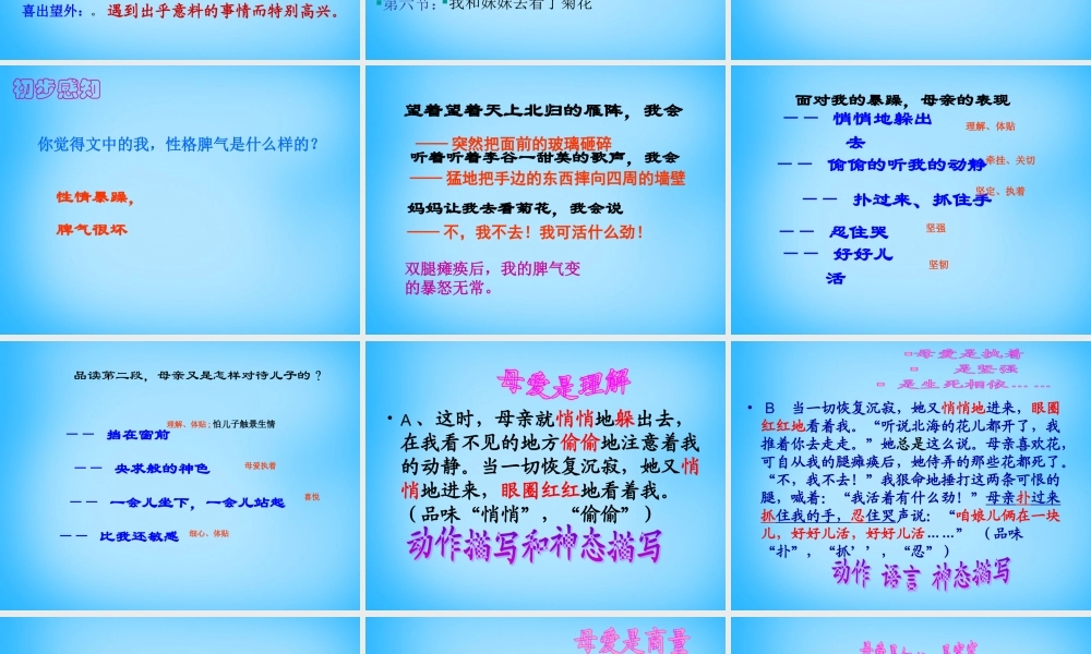 中学七年级语文上册(第2课 秋天的怀念)课件1 (新版)新人教版 课件