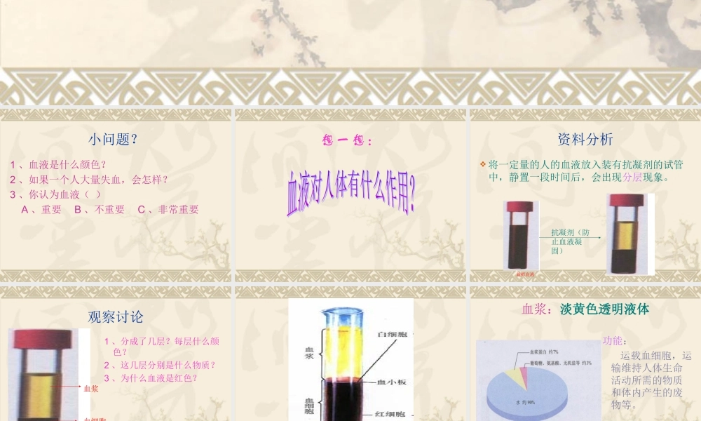 《血液》课件3