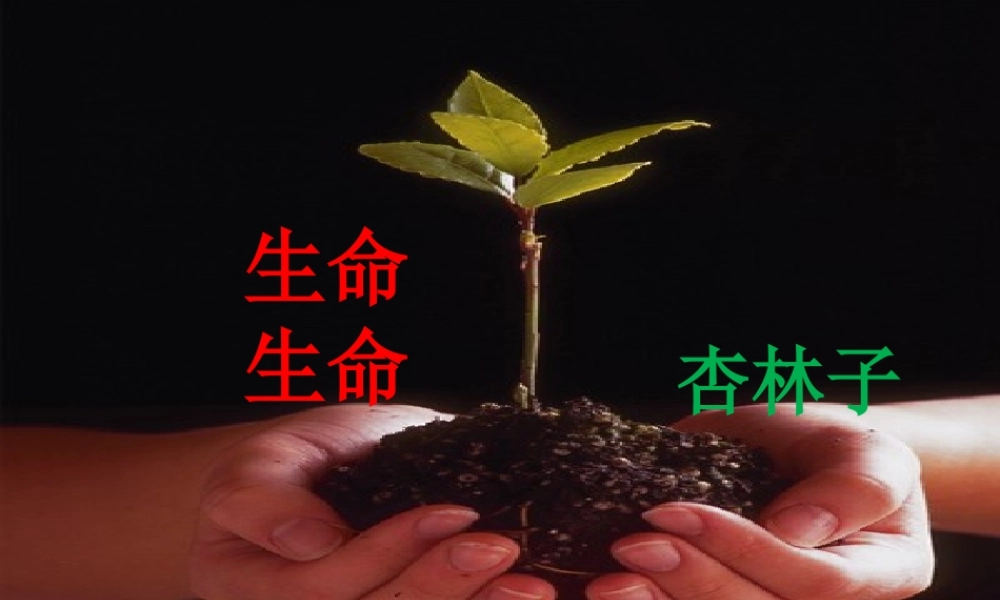 生命生命教学课件