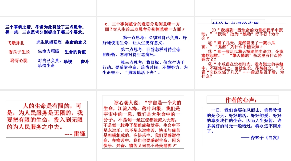 生命生命教学课件