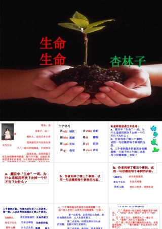 生命生命教学课件