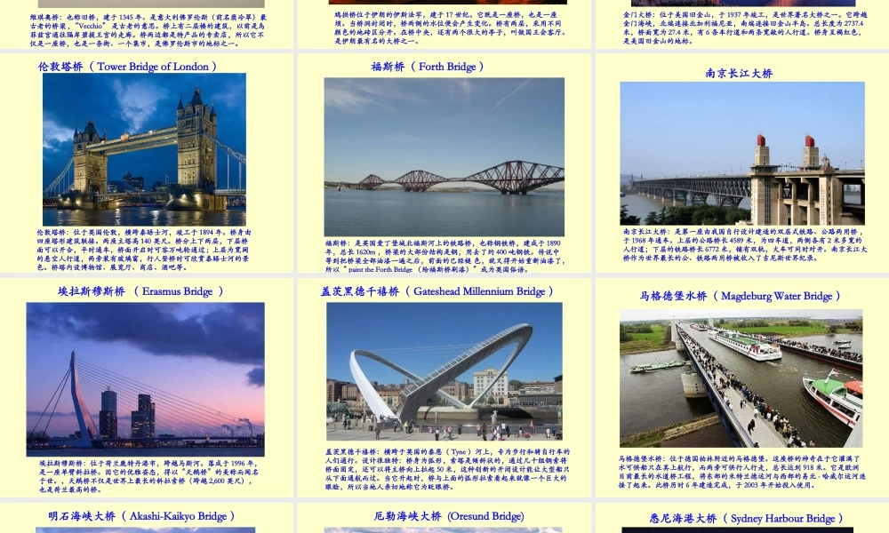 《桥之美》PPt