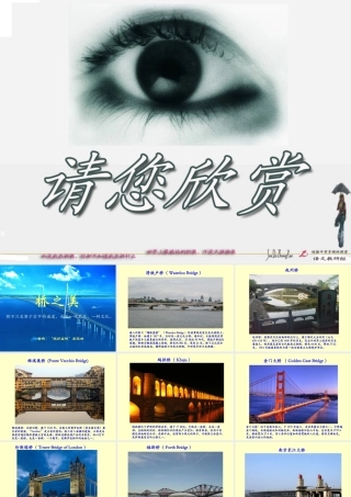 《桥之美》PPt