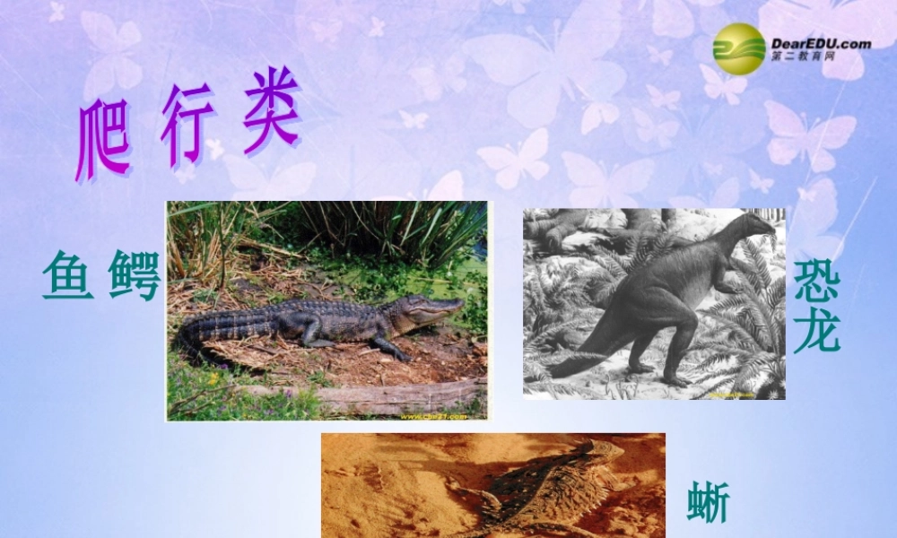 八年级生物上册 第五单元 1.5 爬行动物课件2 (新版)新人教版 课件