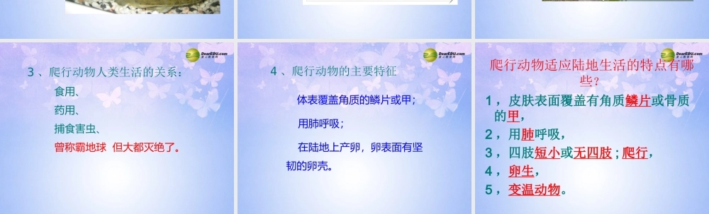 八年级生物上册 第五单元 1.5 爬行动物课件2 (新版)新人教版 课件