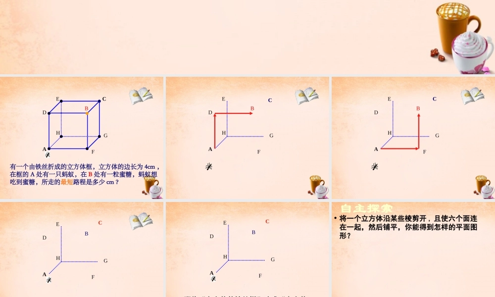 九年级数学下册 323 直棱柱和圆锥的侧面展开图课件 (新版)冀教版 课件
