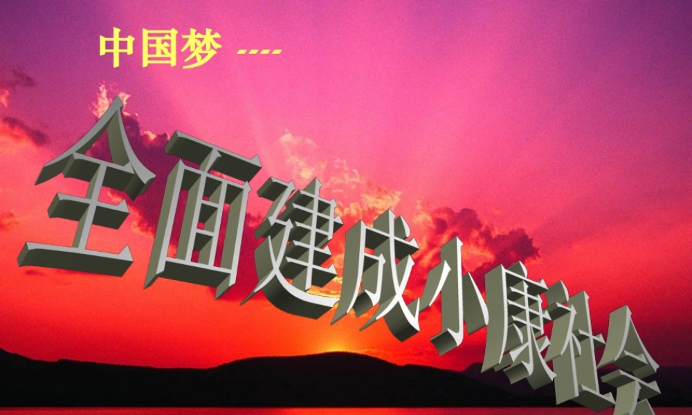 《全面建设小康社会》复习课件