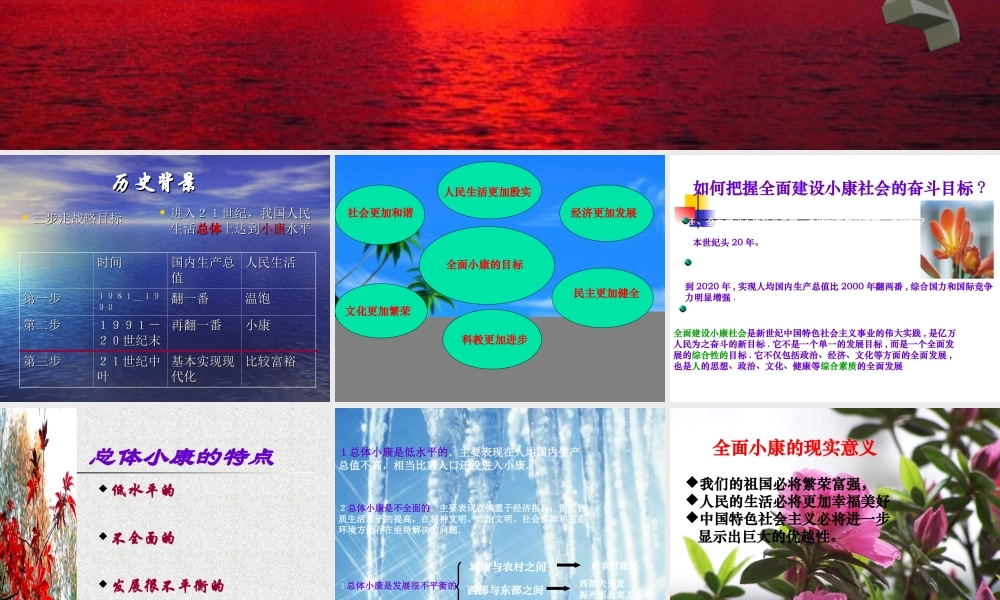 《全面建设小康社会》复习课件