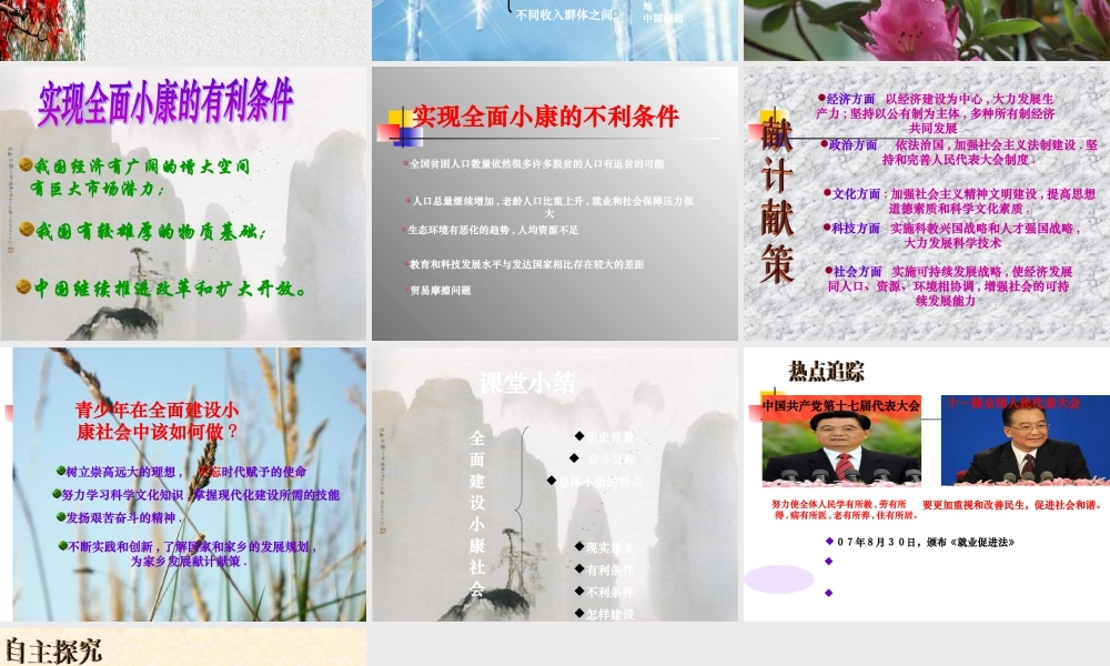 《全面建设小康社会》复习课件