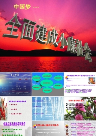 《全面建设小康社会》复习课件