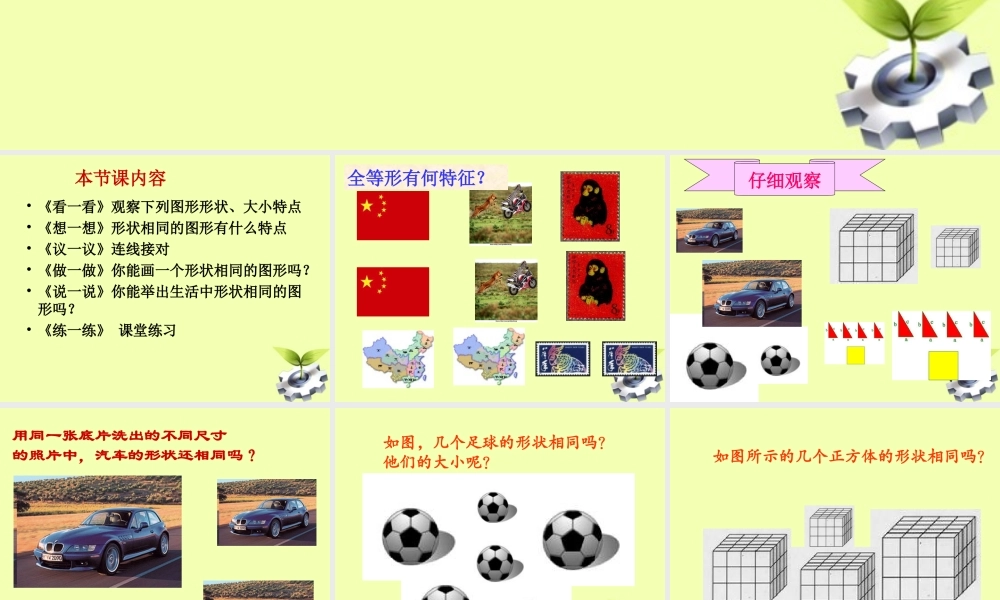 八年级数学下册 3.形状相同的图形课件 北师大版 课件