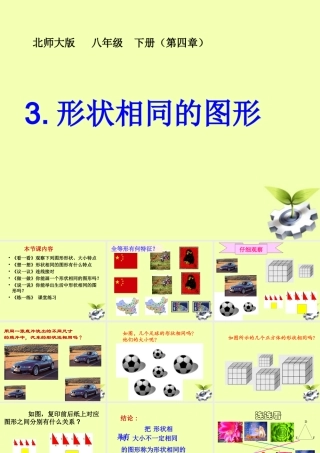 八年级数学下册 3.形状相同的图形课件 北师大版 课件