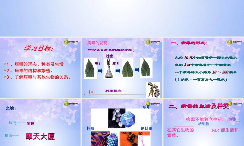 八年级生物上册 第五章 病毒课件 新人教版 课件