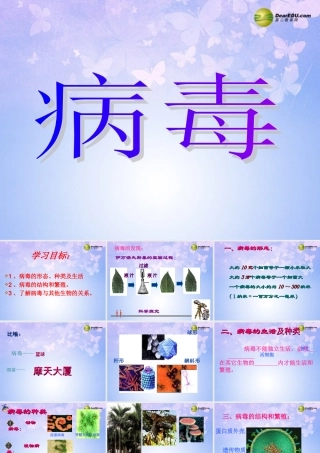 八年级生物上册 第五章 病毒课件 新人教版 课件