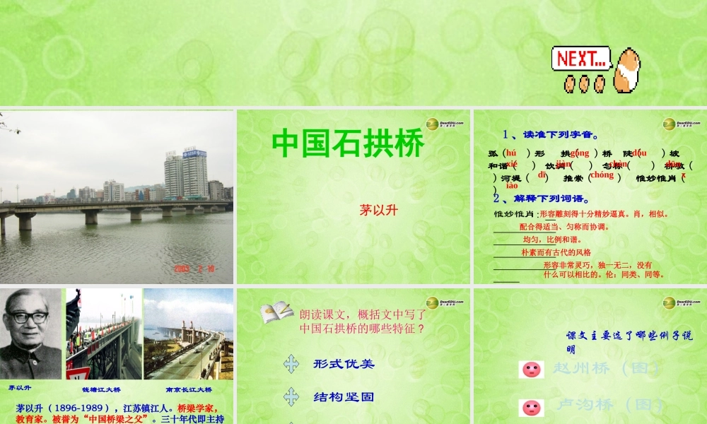 八年级语文上册(第11课 中国石拱桥)课件 新人教版 课件