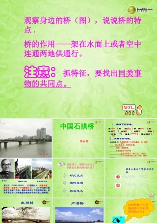八年级语文上册(第11课 中国石拱桥)课件 新人教版 课件