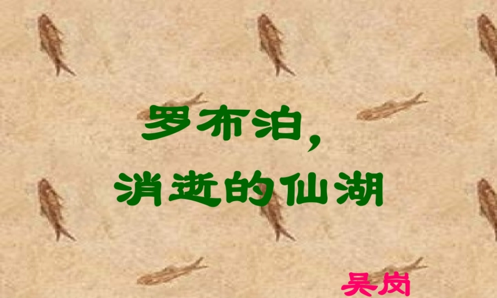 罗布泊_消逝的仙湖课件1