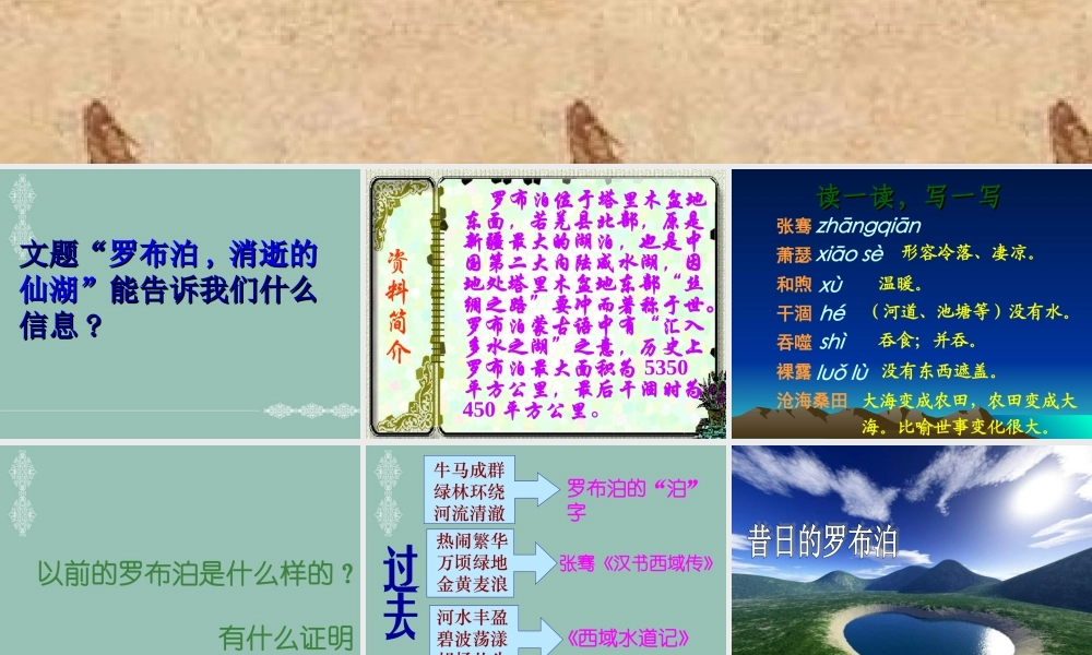 罗布泊_消逝的仙湖课件1