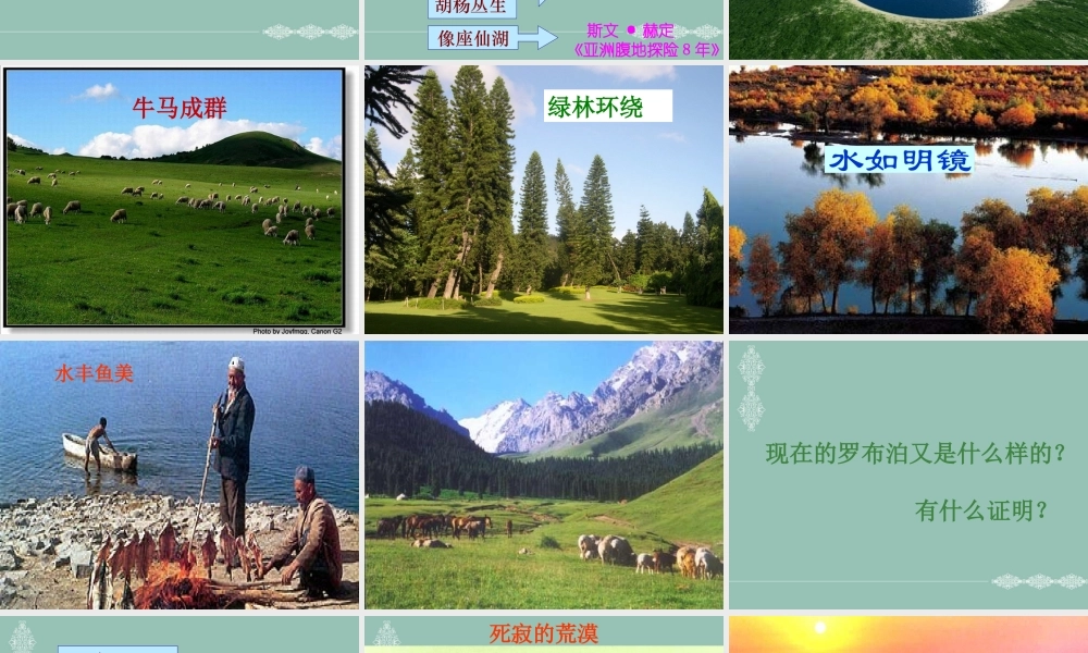 罗布泊_消逝的仙湖课件1