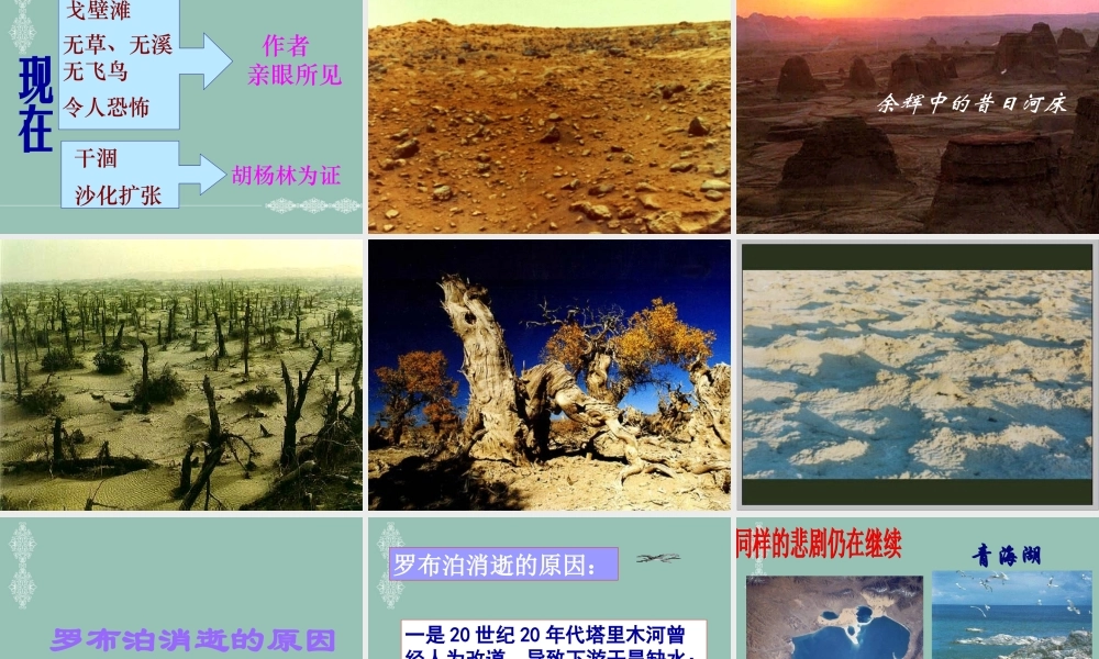 罗布泊_消逝的仙湖课件1
