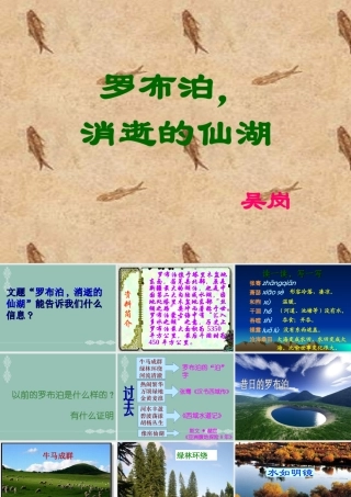 罗布泊_消逝的仙湖课件1