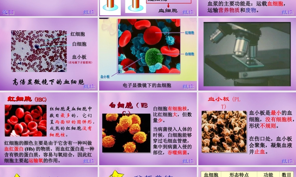 七年级生物下册 第四章 第一节 流动的组织—血液课件 新人教版 课件