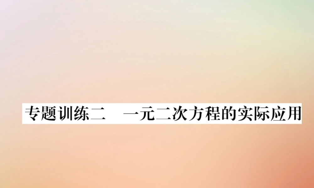 九年级数学上册 第2章 一元二次方程 专题训练二 一元二次方程的实际应用作业课件 (新版)北师大版 课件