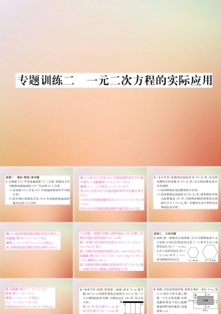 九年级数学上册 第2章 一元二次方程 专题训练二 一元二次方程的实际应用作业课件 (新版)北师大版 课件